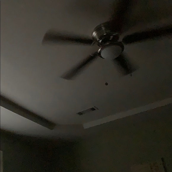 Meet your Posher, Pam - Picture 1 of 1